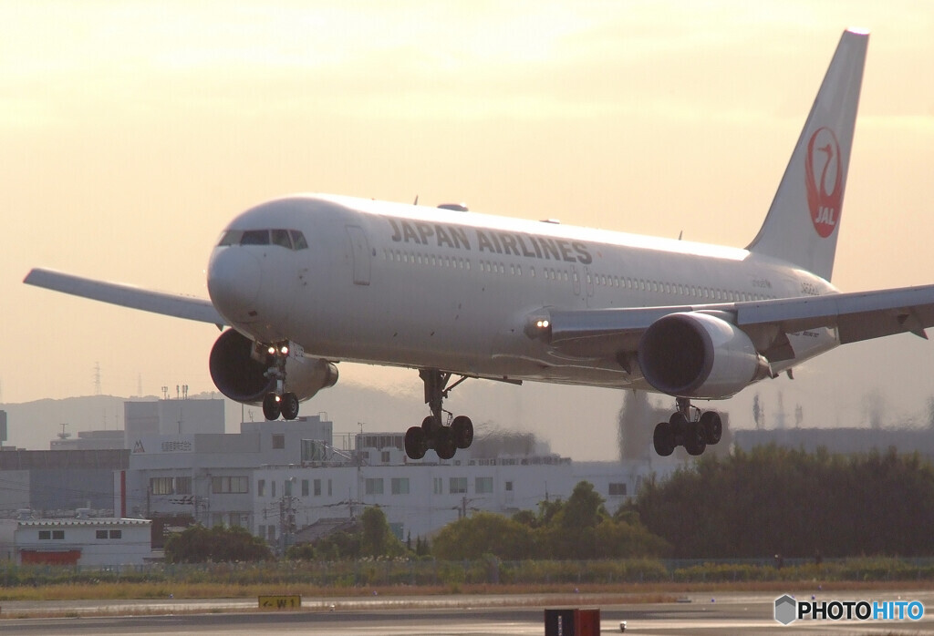 RebornⅢ✈JAPANの翼