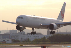 RebornⅢ✈JAPANの翼