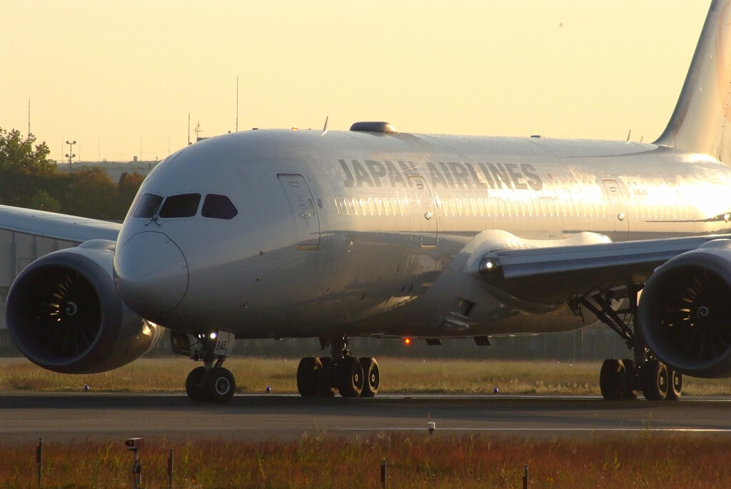 朝焼けの空の下✈Boeing787-8