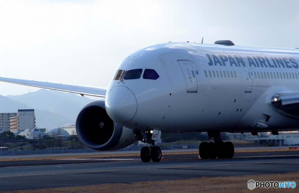 嘉月の午後✈Boeing787-8