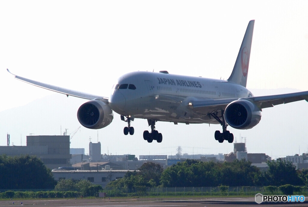 8月の旅へⅡ✈2020