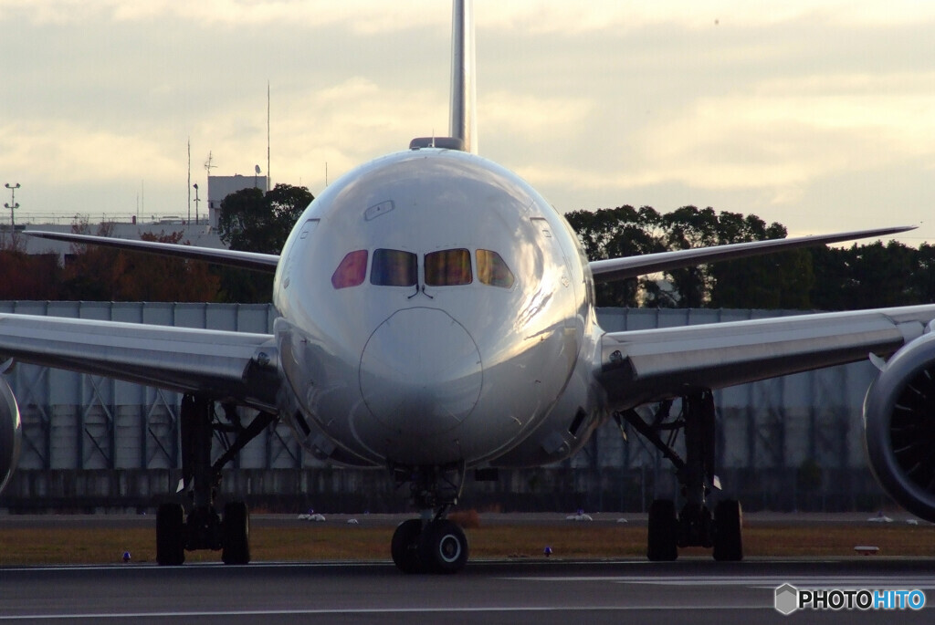 November MorningⅩ✈Boeing787-8