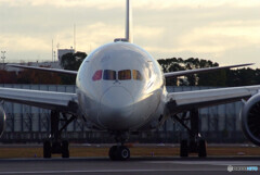 November MorningⅩ✈Boeing787-8