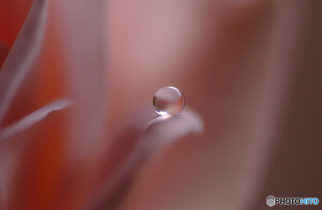 最愛なる 娘に 贈物を