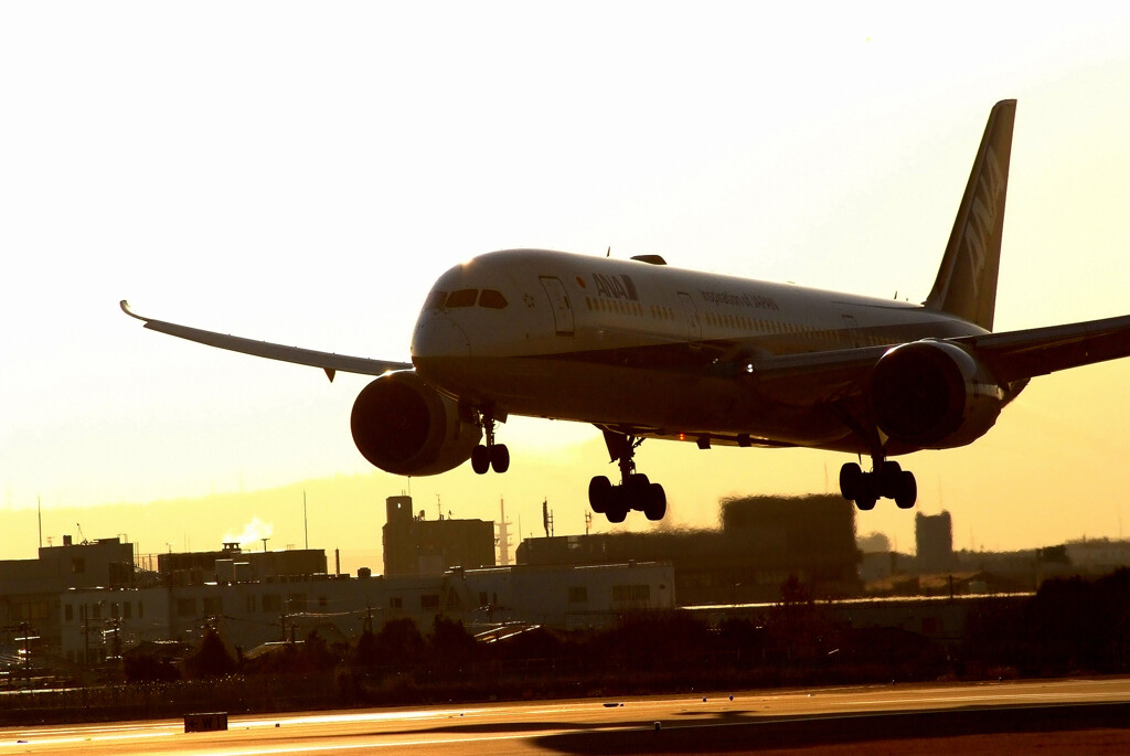 Morning show★Boeing787-9