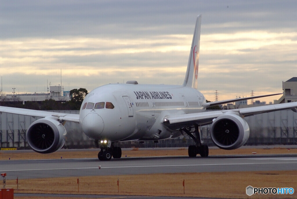 伊丹の翼✈Boeing787-8