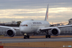 伊丹の翼✈Boeing787-8