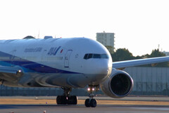 SKYLANDの朝✈Boeing777-300