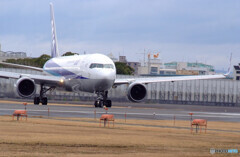弥生の翼✈Boeing 767-300 