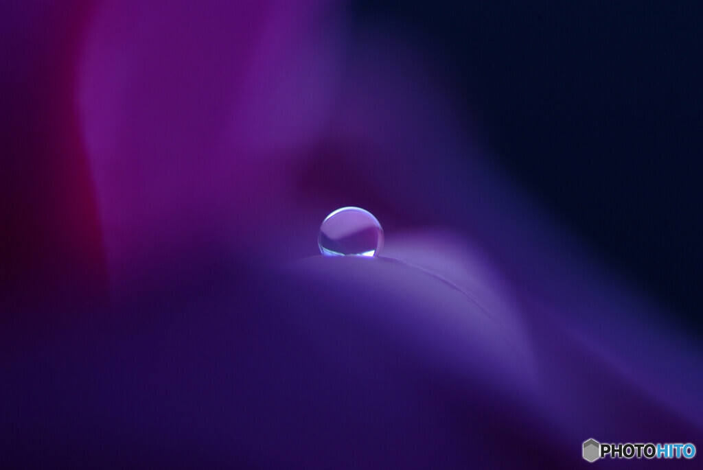 Eternal❁癒しの時間