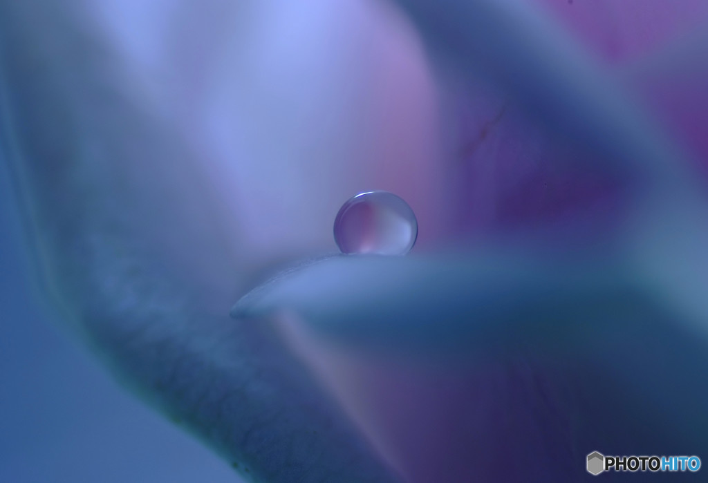 恋する惑星Ⅳ・秋