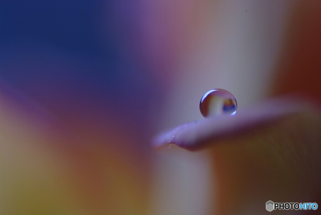 明日への扉✿雫