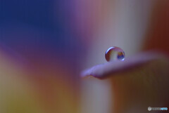 明日への扉✿雫