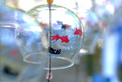 癒しの時間✿風鈴金魚