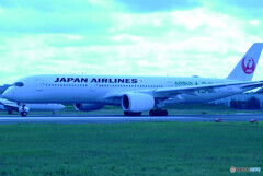 2022夏の想い出✈JA03XJ