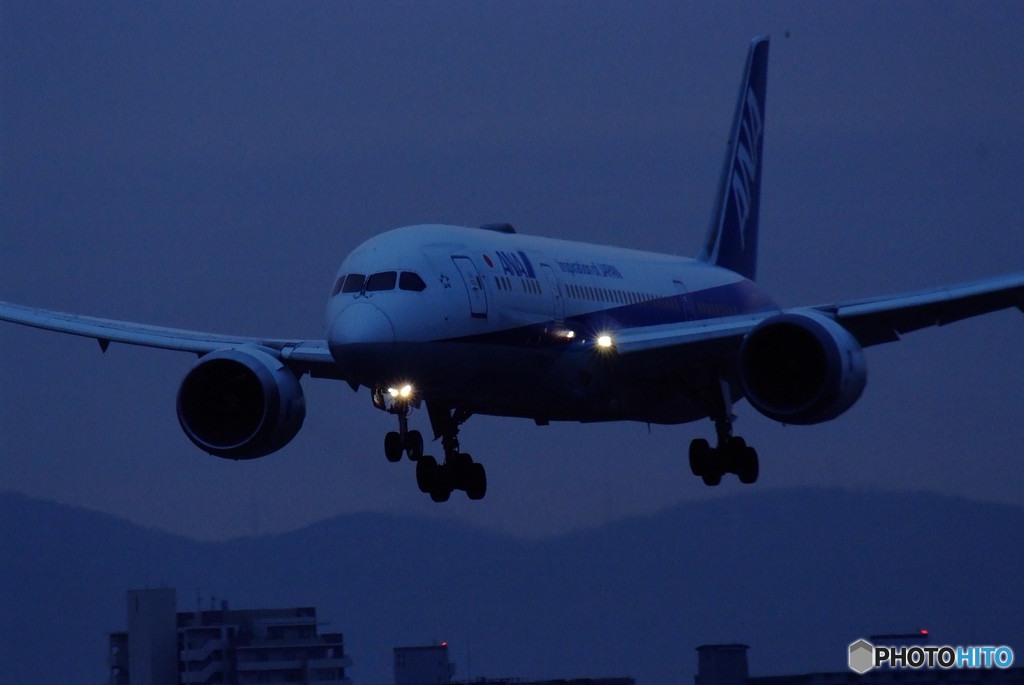 Blue Star・787