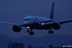 Blue Star・787