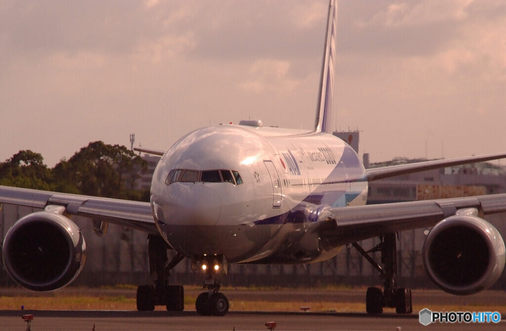 November LightⅢ・2020