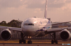 November LightⅢ・2020