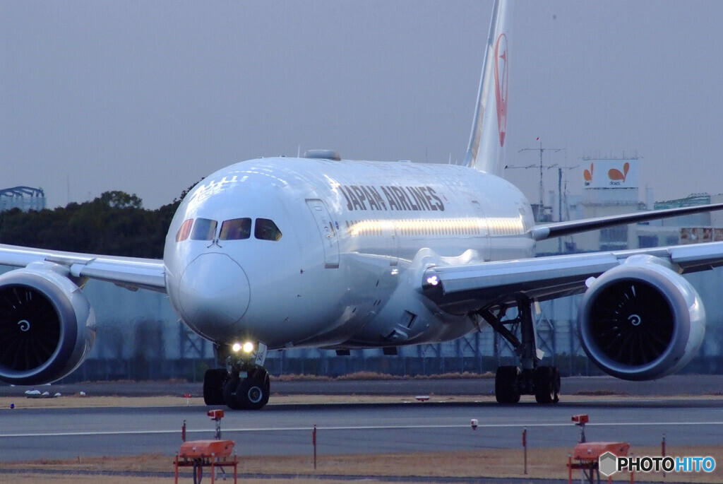 Sunday in FebruaryⅢ☆Boeing787-8