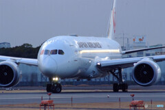 Sunday in FebruaryⅢ☆Boeing787-8