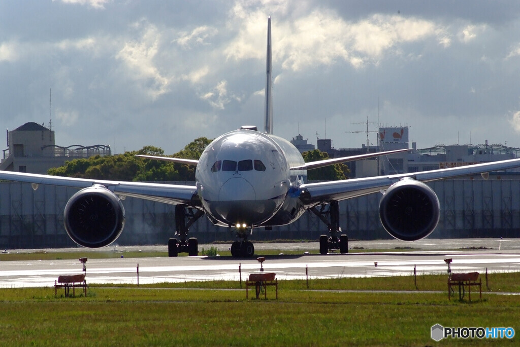4月の朝✈ANA 787-8 Dreamliner