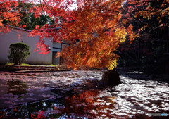 紅葉炎上・水車小屋