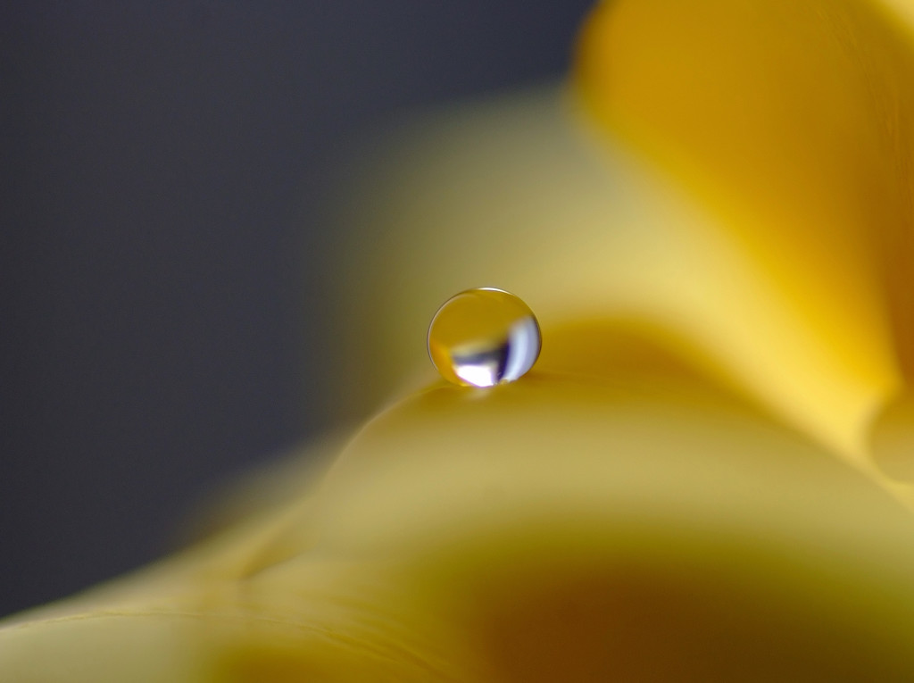 幸福の黄色い雫・（Ⅸ）