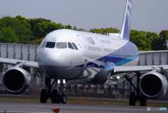 大空へ飛べ!・(Ⅸ) 大空へ飛べ!・(Ⅸ)