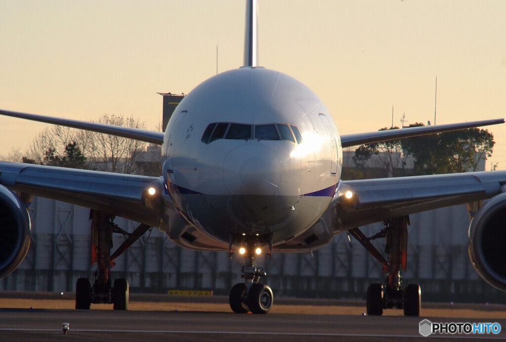 Morning FaceⅡ・HARADA