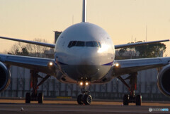 Morning FaceⅡ・HARADA