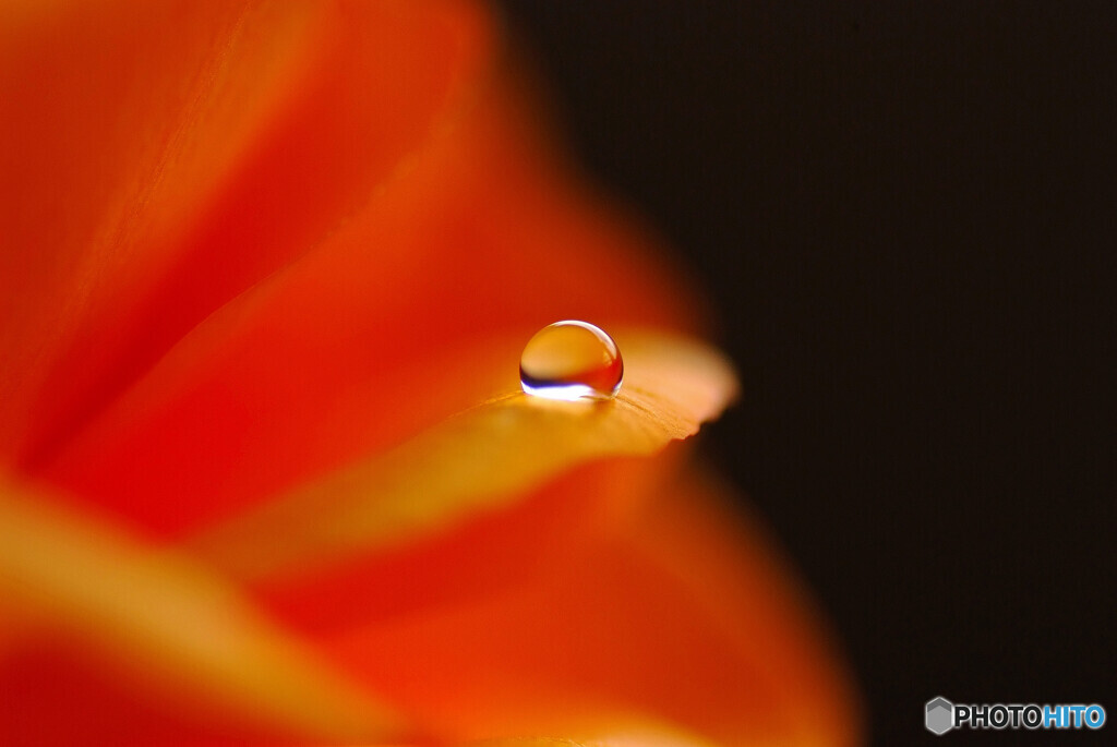 一粒の涙✾雫