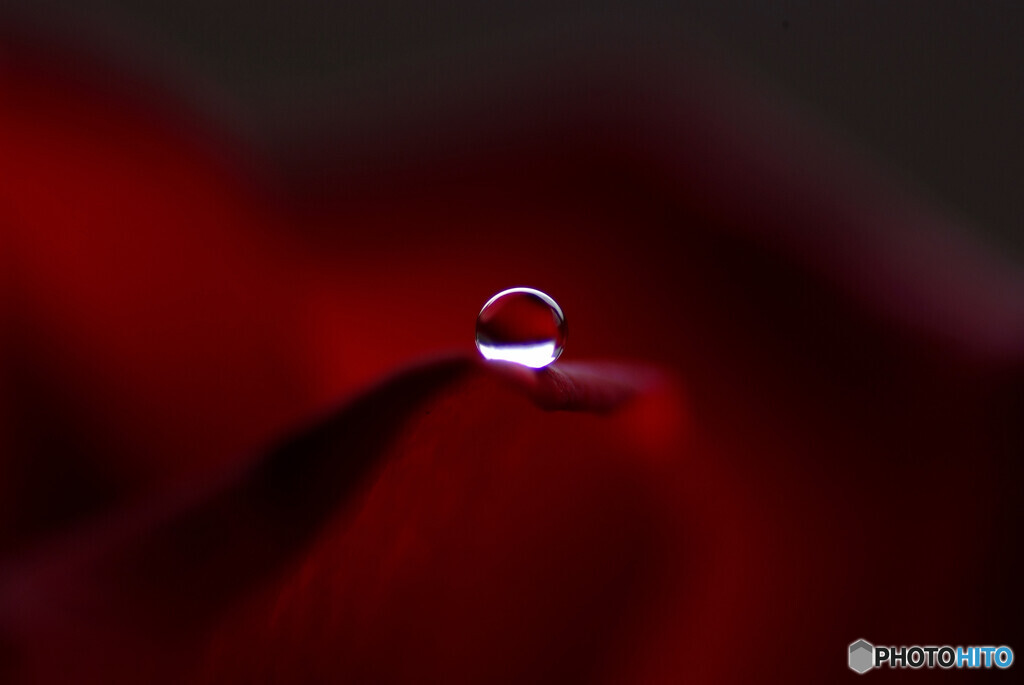永遠のゼロ✾瞳