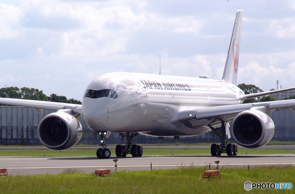 September wings✈JA10XJ