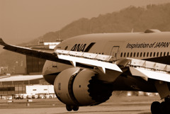 Ready for Landing・787