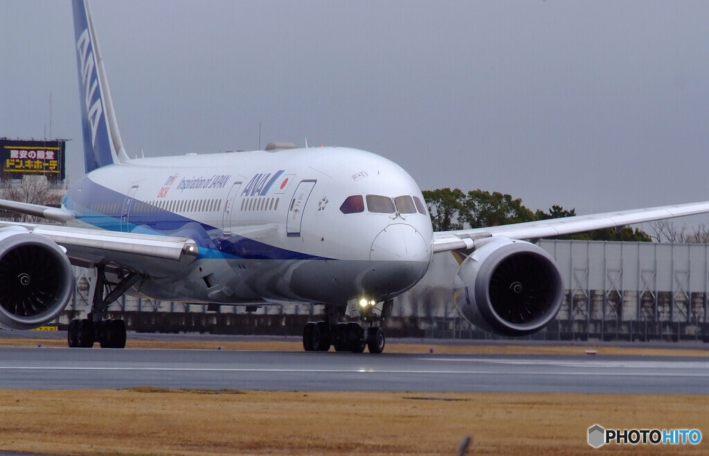 HARADAの朝✈787-8 Dreamliner