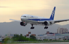 September morning★Boeing767-300