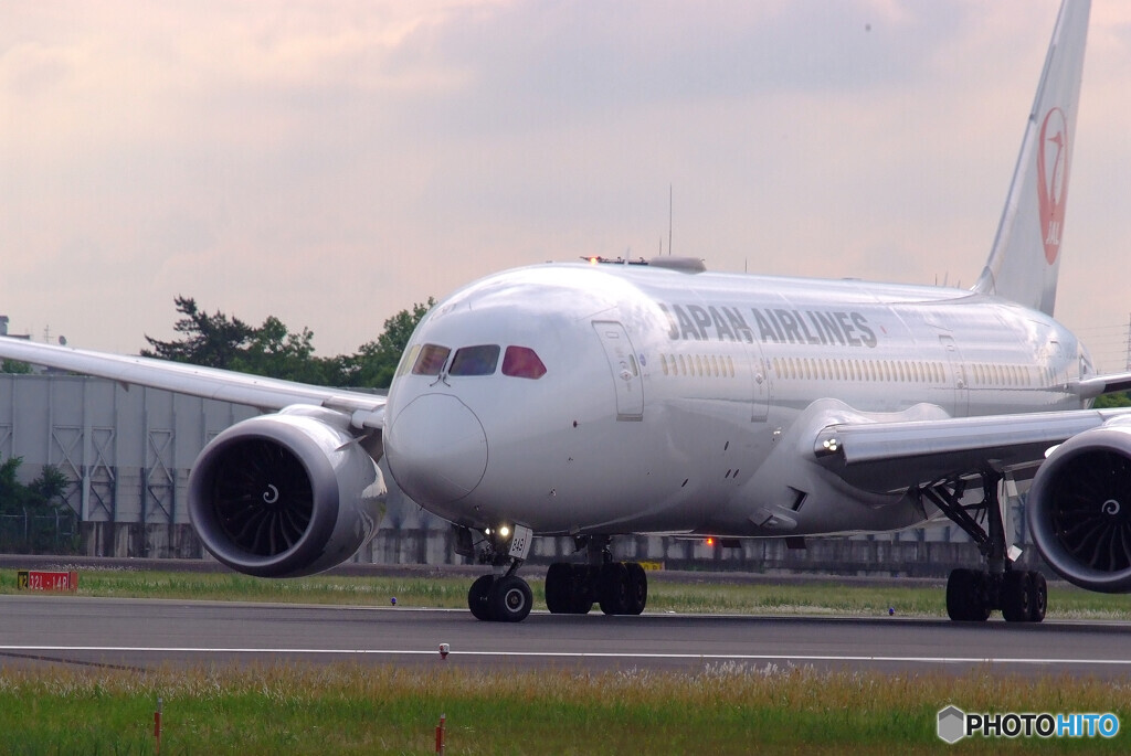 HARADAの朝✈Dreamliner