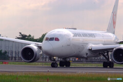 HARADAの朝✈Dreamliner