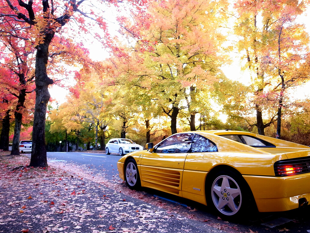 Testarossa ✿三色彩道より