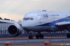 HARADAの朝✈787-8 Dreamliner