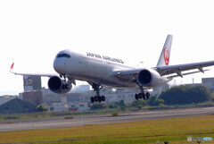 November Sky✈A350