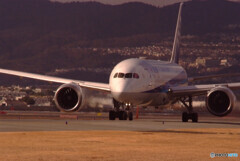 俺の空へⅡ✈Dreamliner