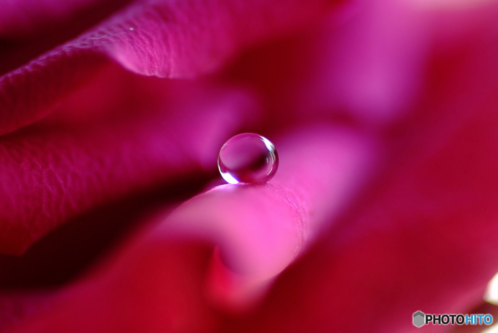 君の瞳に恋してる・雫