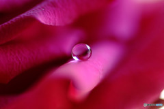 君の瞳に恋してる・雫