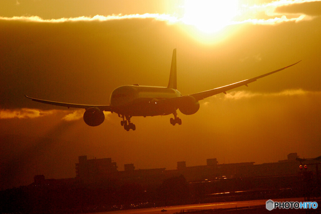 Morning of the 24thⅣ✈787-8Dreamliner 