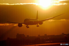 Morning of the 24thⅣ✈787-8Dreamliner 