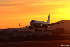 December 17rd✈ようこそ！Embraer 190 