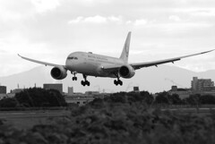 August morningⅡ✈787-8 Dreamliner