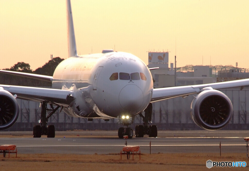 癒しの時間✈Dreamliner